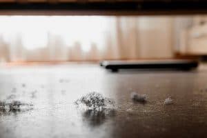 Mencegah Asma atau lelah