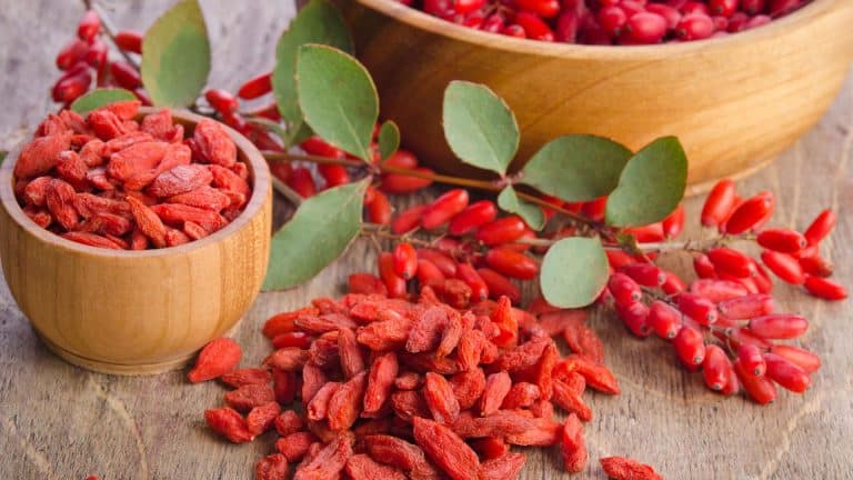 7 Kebaikan Goji Berry yang Perlu Anda Tahu