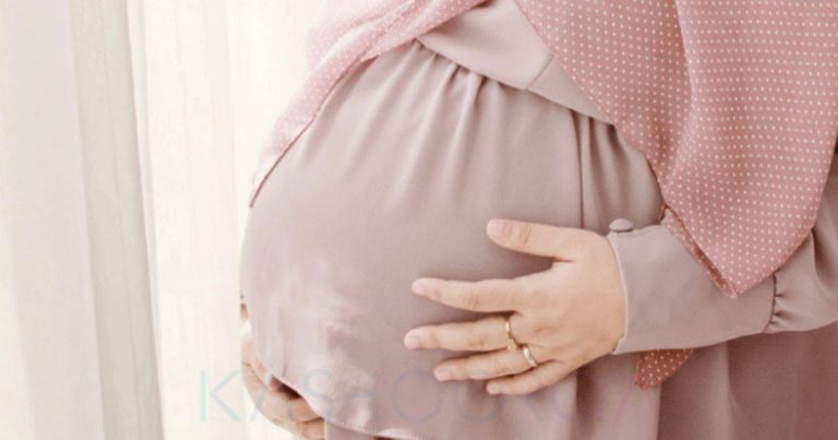 Makanan Tinggi Kalsium Untuk Ibu Hamil Pastikan Tumbesaran Sihat Janin